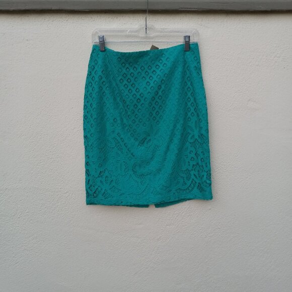 NWT Green Lace Skirt Size 10Petite Romantic Preppy Girly Office Work Holiday Y2K - Picture 1 of 16